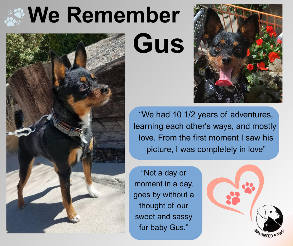 We Remember Gus