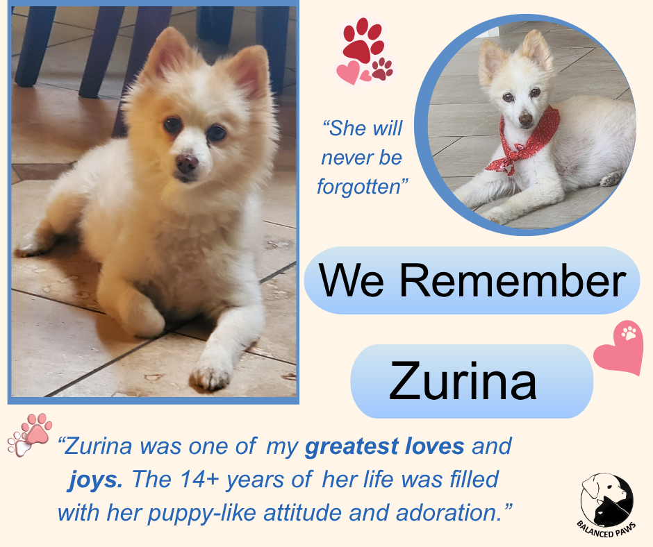 We remember Zurina