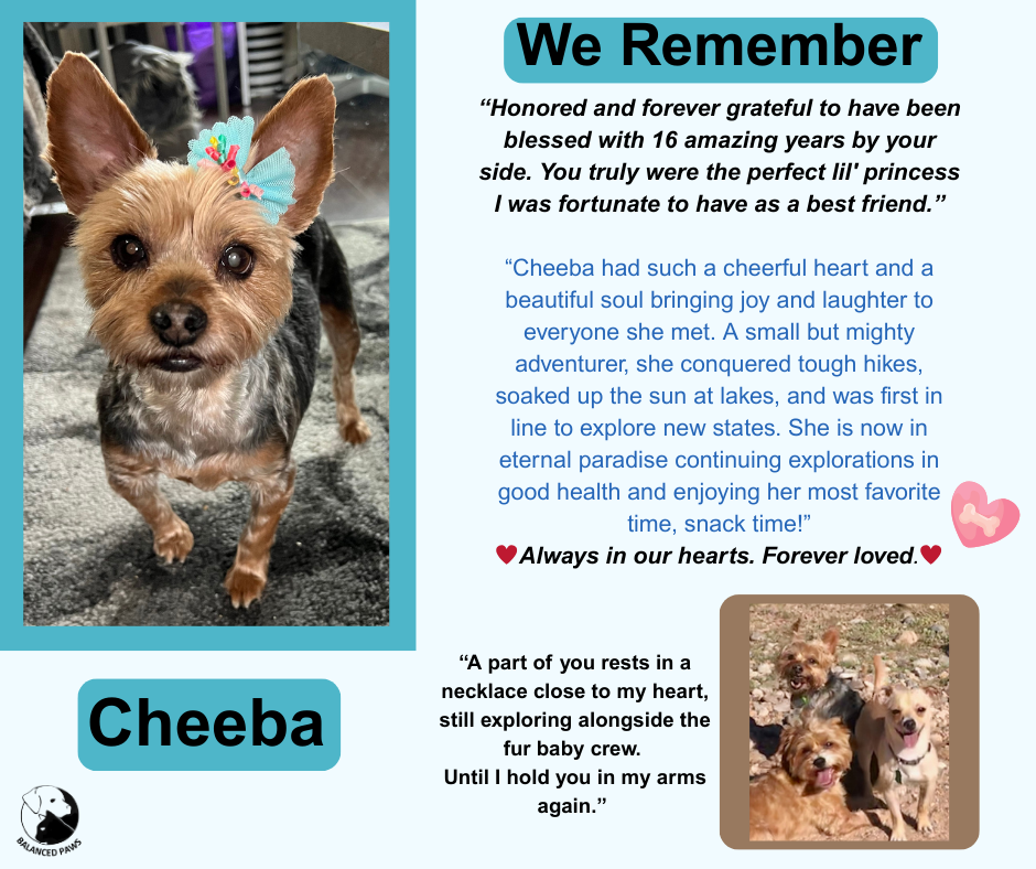 We Remember Cheeba