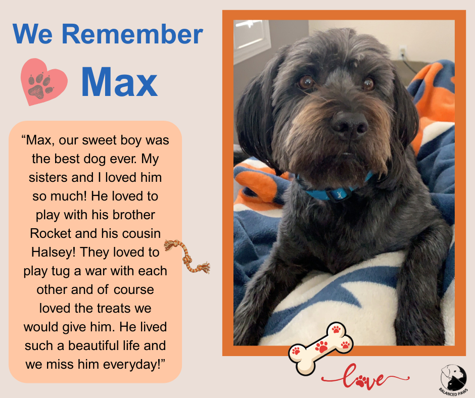 We Remember Max