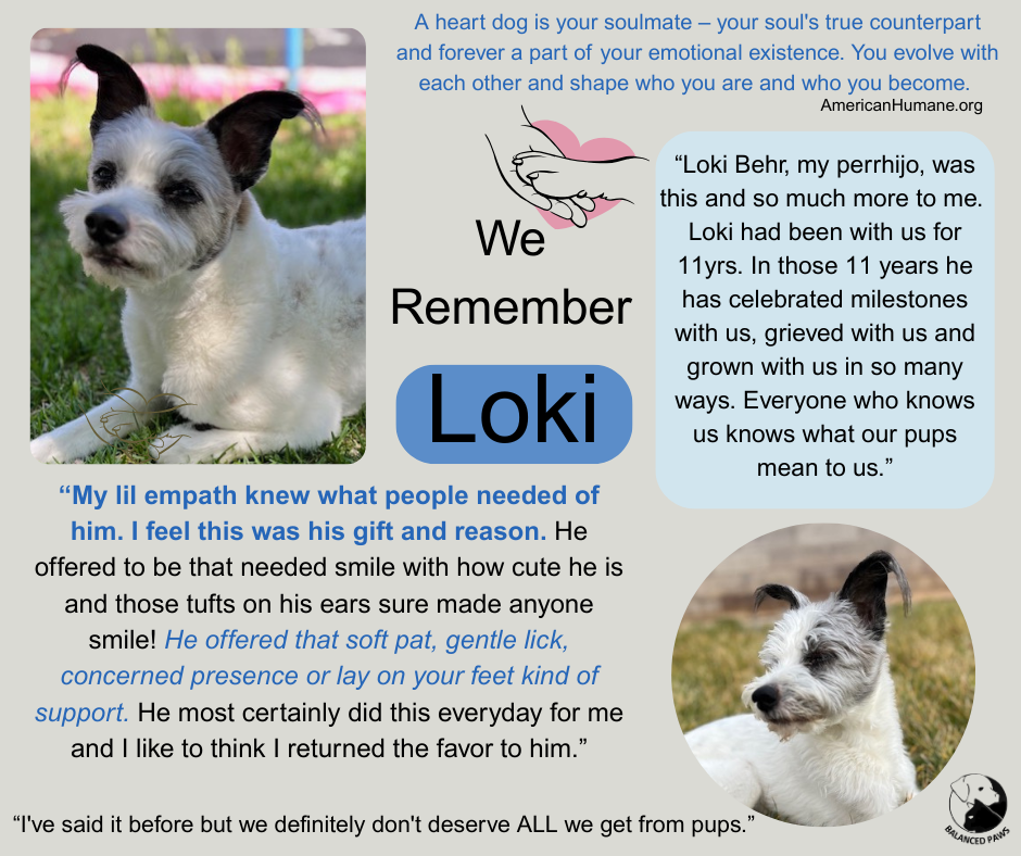 We Remember Loki